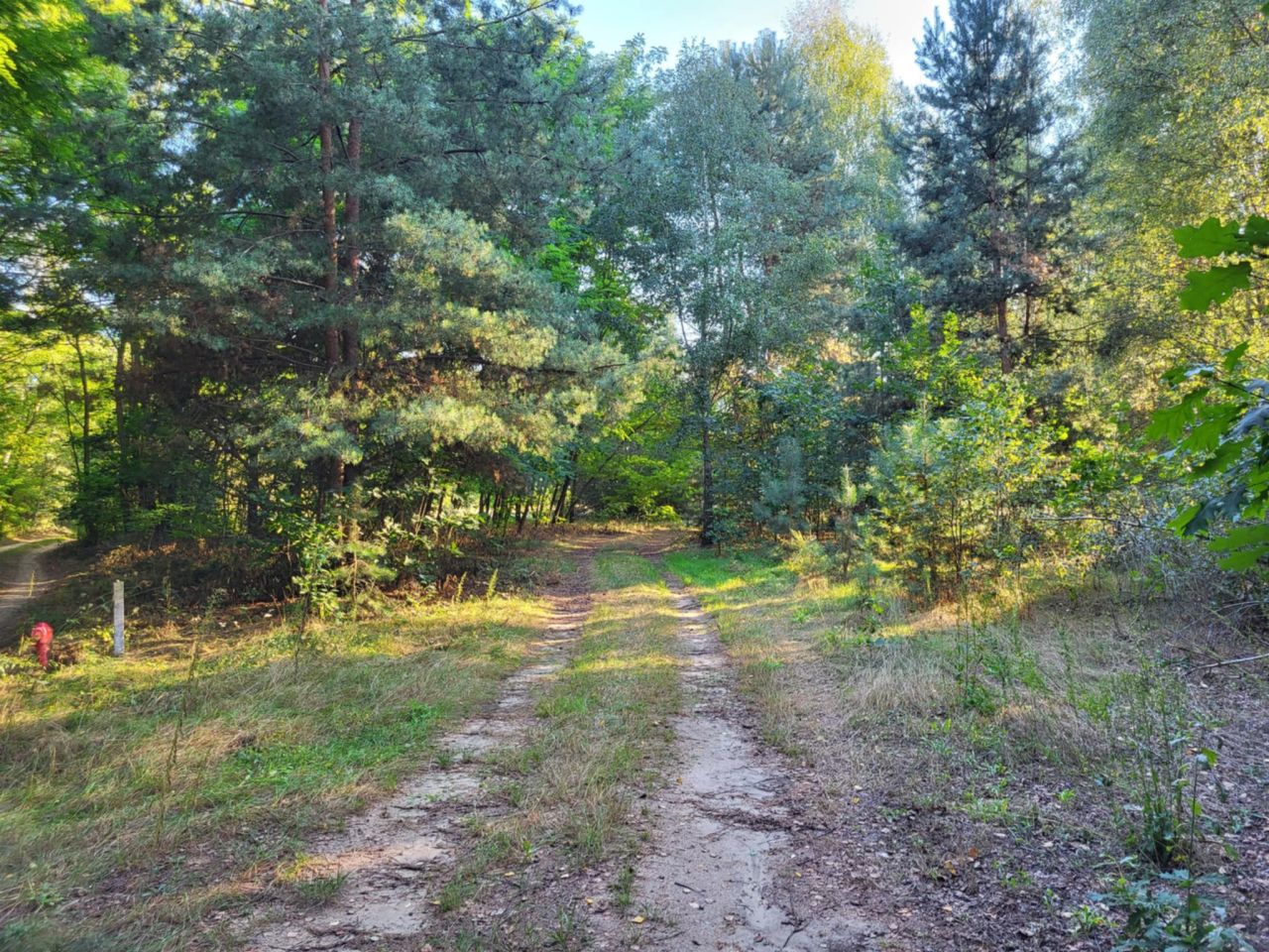 Działka rolna Borszyce