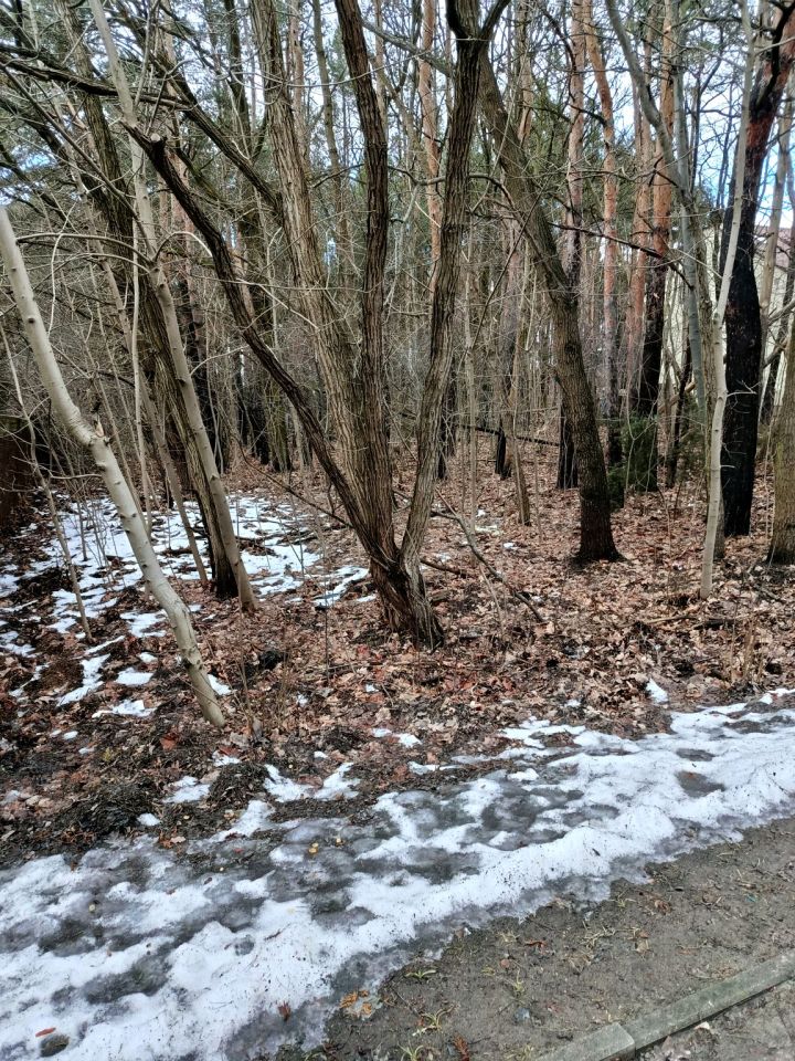 Działka leśna Legionowo, ul. Aleja Legionów. Zdjęcie 10