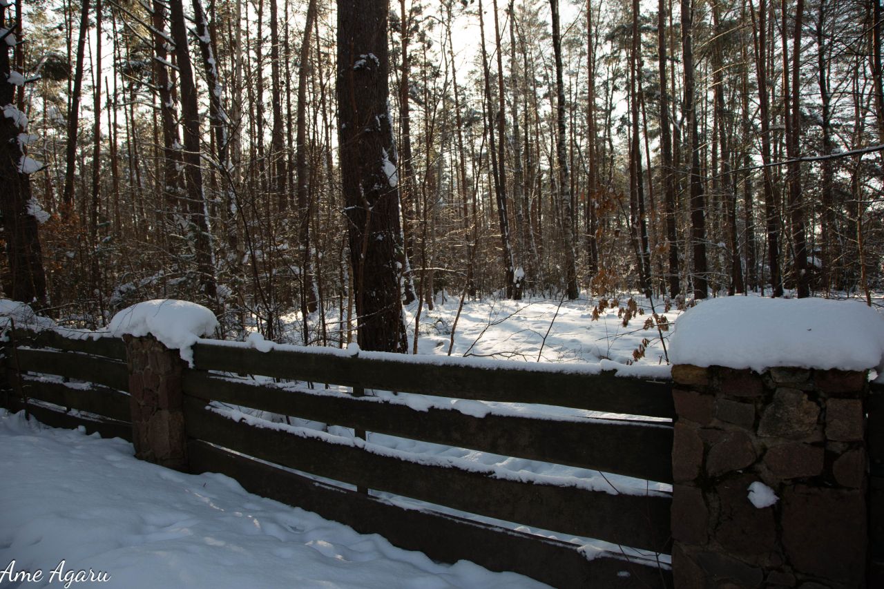 Działka budowlana Marózek. Zdjęcie 16