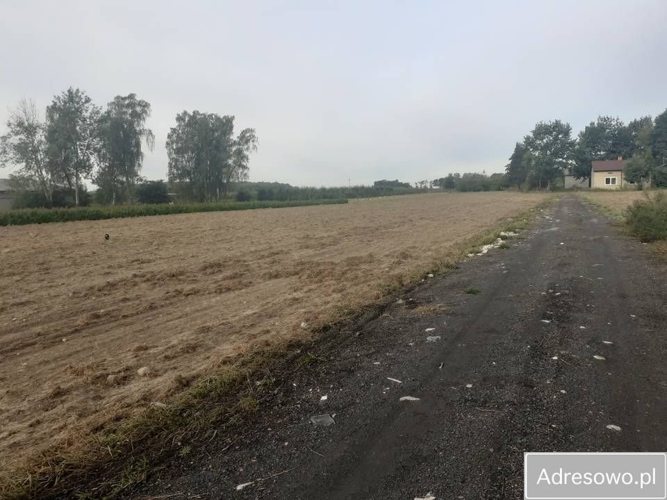 Działka rolna Biała Wieś. Zdjęcie 5