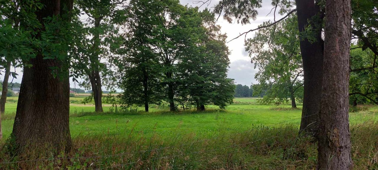 Działka rolno-budowlana Ratowo