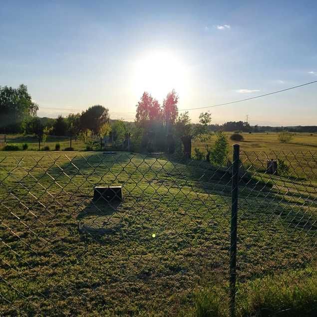 Działka rolno-budowlana Jagodne. Zdjęcie 3