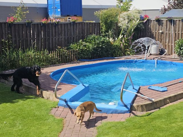 dom wolnostojący, 5 pokoi Borowa Góra, ul. Kameralna. Zdjęcie 12