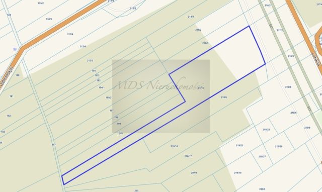 Działka inwestycyjna Wola Ducka, ul. Marii Dąbrowskiej. Zdjęcie 5