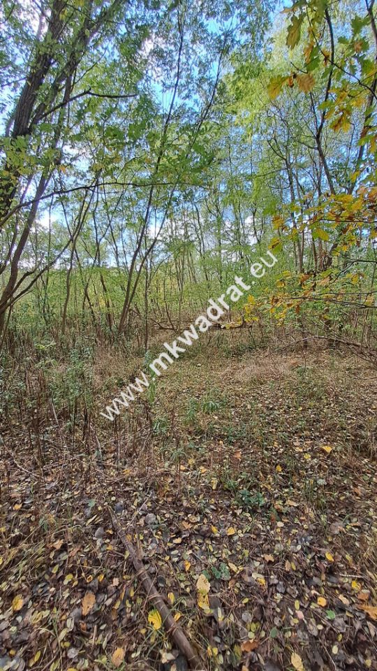 Działka budowlana Wyględy. Zdjęcie 2