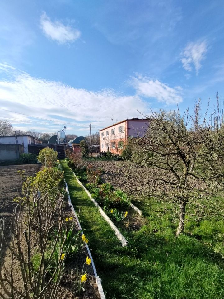 Mieszkanie 2-pokojowe Maciejowice. Zdjęcie 4