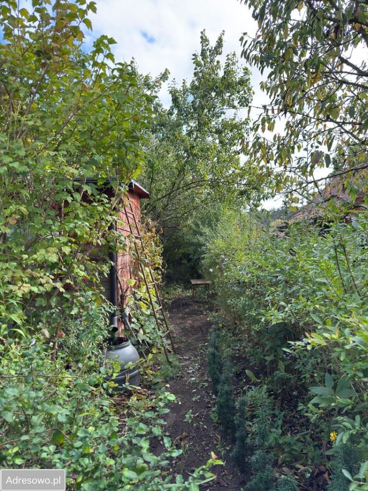 Działka rod Włocławek Lisek. Zdjęcie 6