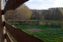 siedlisko Chocieszów. Zdjęcie 3