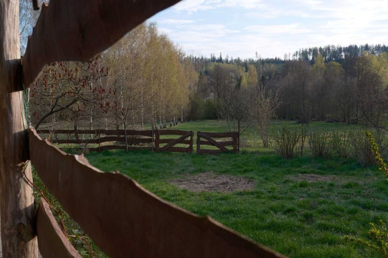 siedlisko Chocieszów. Zdjęcie 4