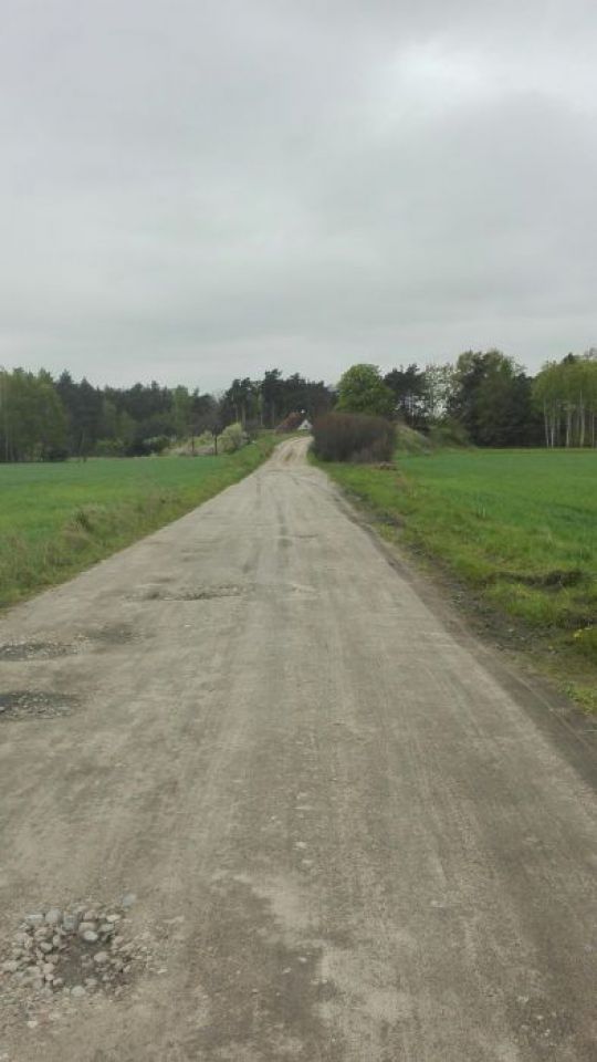 Działka leśna Bałdrzychów. Zdjęcie 7