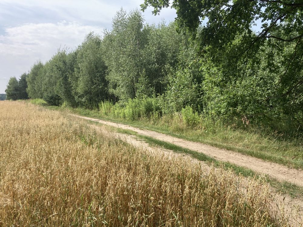 Działka Wodynie. Zdjęcie 3