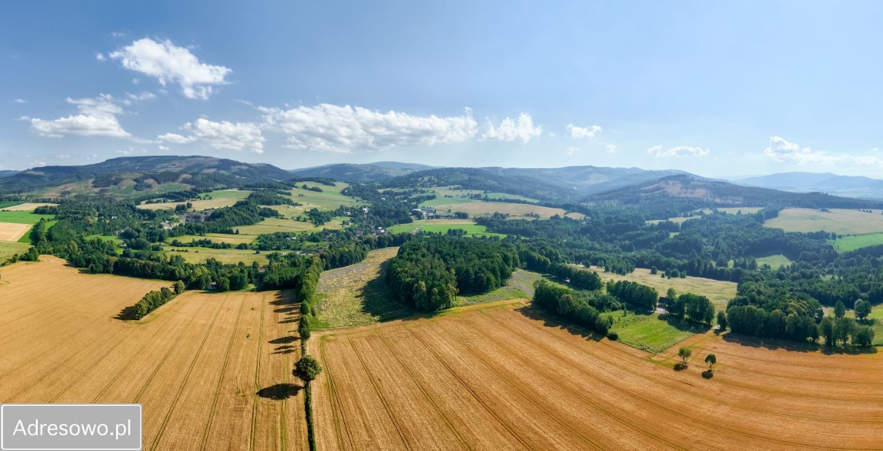 Działka budowlana Podlesie. Zdjęcie 13