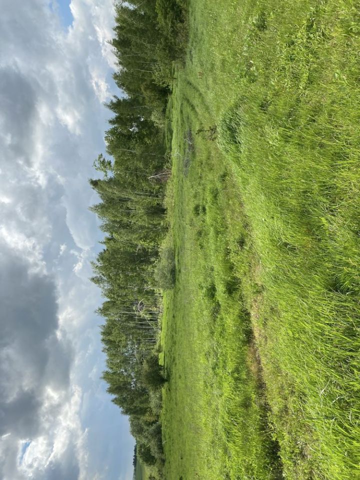 Działka siedliskowa Wygoda Wólka Klonowska. Zdjęcie 1