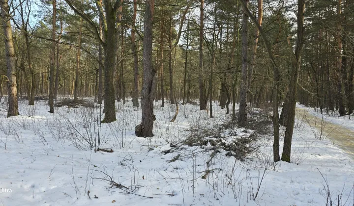 Działka budowlana Józefów Dębinka, .