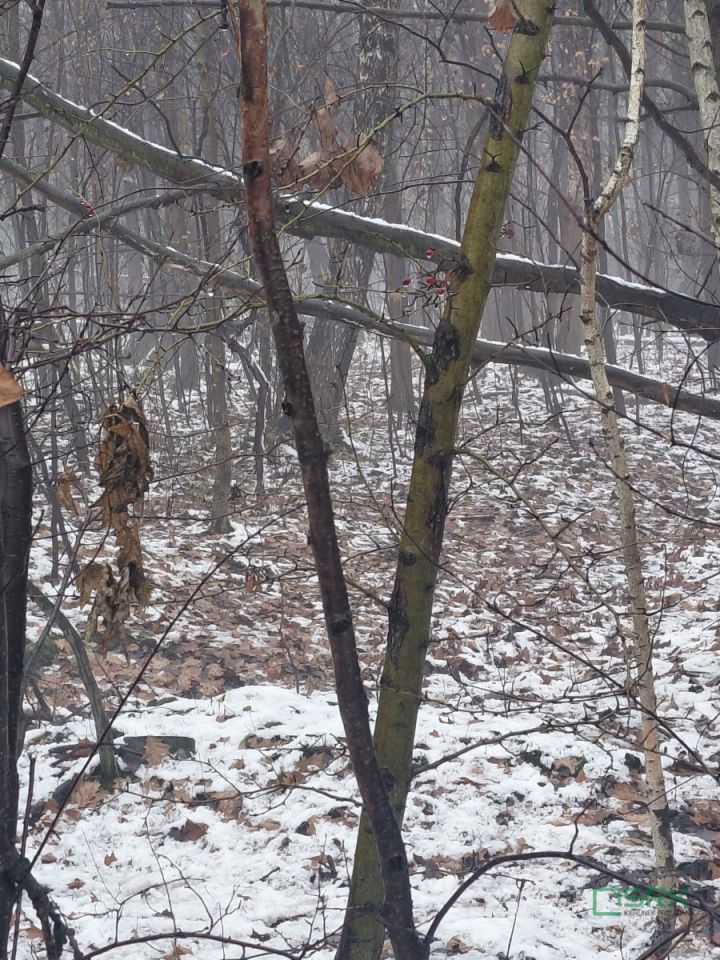 Działka inna Mysłowice, ul. Marii Konopnickiej. Zdjęcie 2