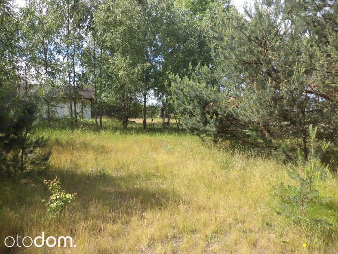 Działka siedliskowa Rędziny. Zdjęcie 10