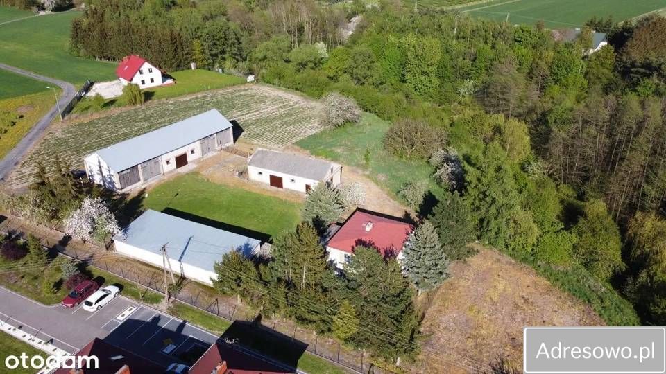 Działka budowlana Kijany. Zdjęcie 6