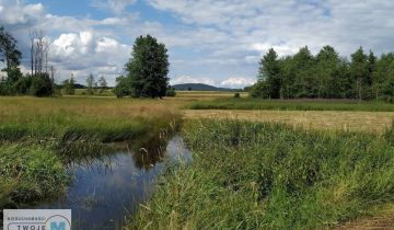 Działka leśna Korczyn