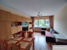 Mieszkanie 2-pokojowe Otmuchów, ul. Jagiełły. Zdjęcie 4