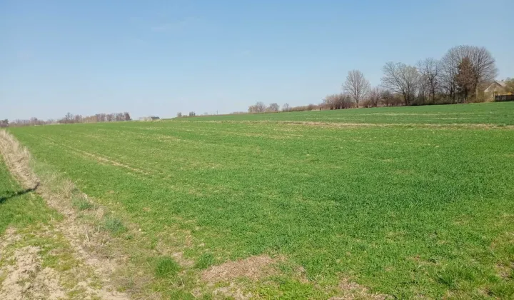 Działka budowlana Markowola-Kolonia