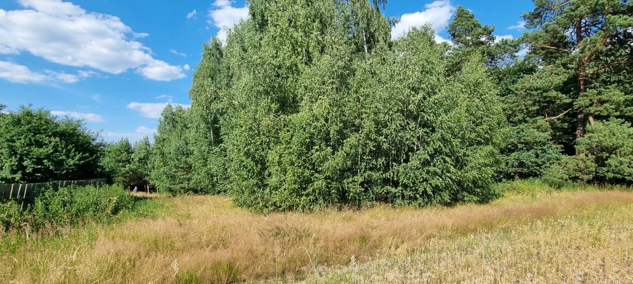 Działka rolna Kowala. Zdjęcie 4