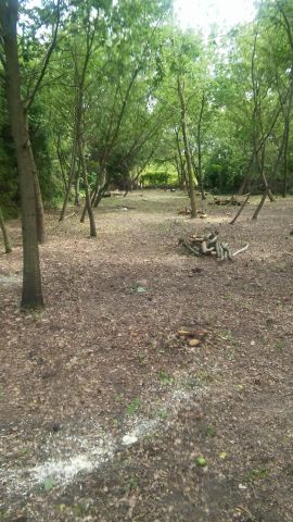 Działka budowlana Jachranka, ul. Wspólna. Zdjęcie 1