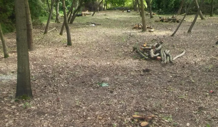 Działka budowlana Jachranka, ul. Wspólna