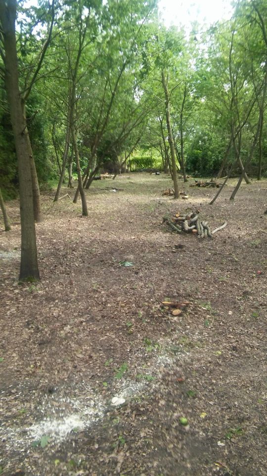 Działka budowlana Jachranka, ul. Wspólna