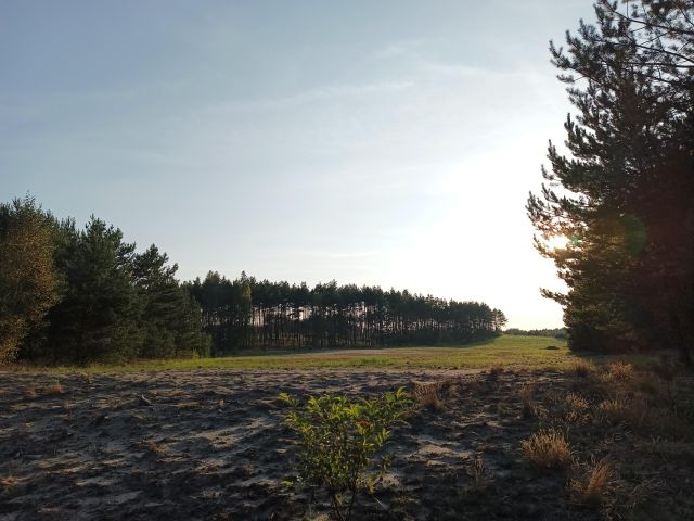 Działka rekreacyjna Męcikał. Zdjęcie 1