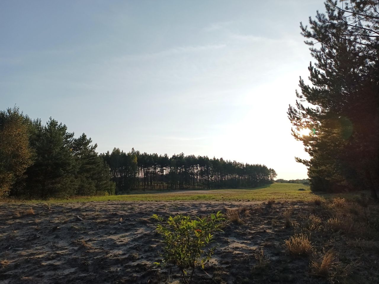 Działka rekreacyjna Męcikał