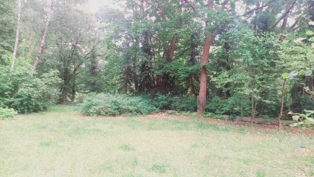 Działka budowlana Złotokłos. Zdjęcie 31