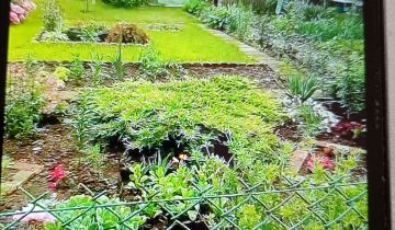 Działka rod Suwałki, ul. Sianożęć