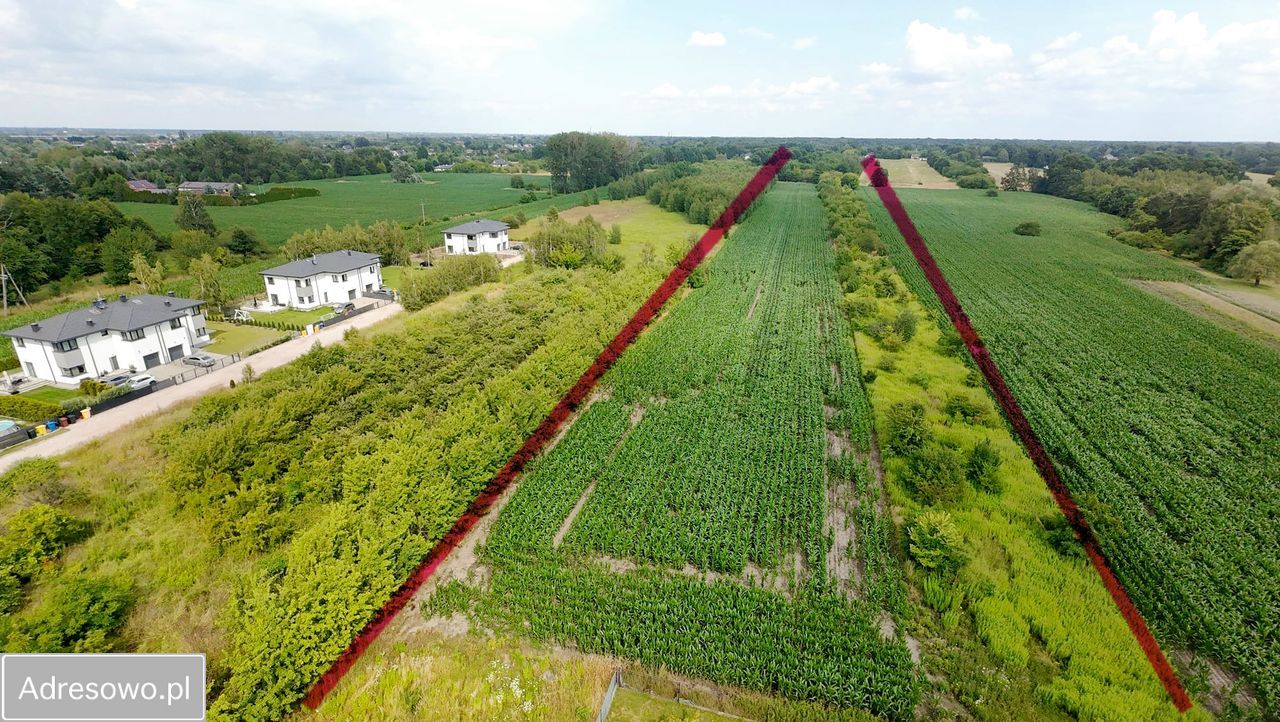 Działka inwestycyjna Natolin. Zdjęcie 6