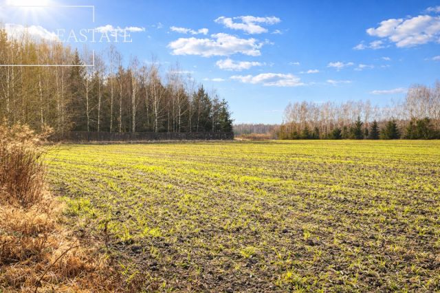 Działka inwestycyjna Harsz. Zdjęcie 1