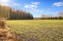 Działka inwestycyjna Harsz