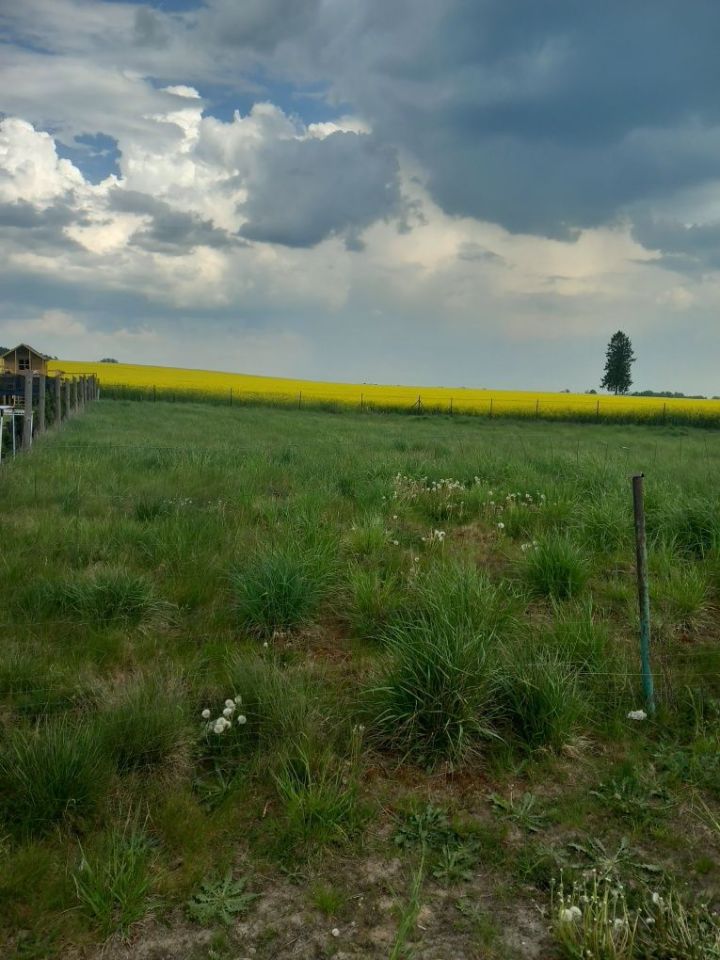 Działka budowlana Mościska. Zdjęcie 4