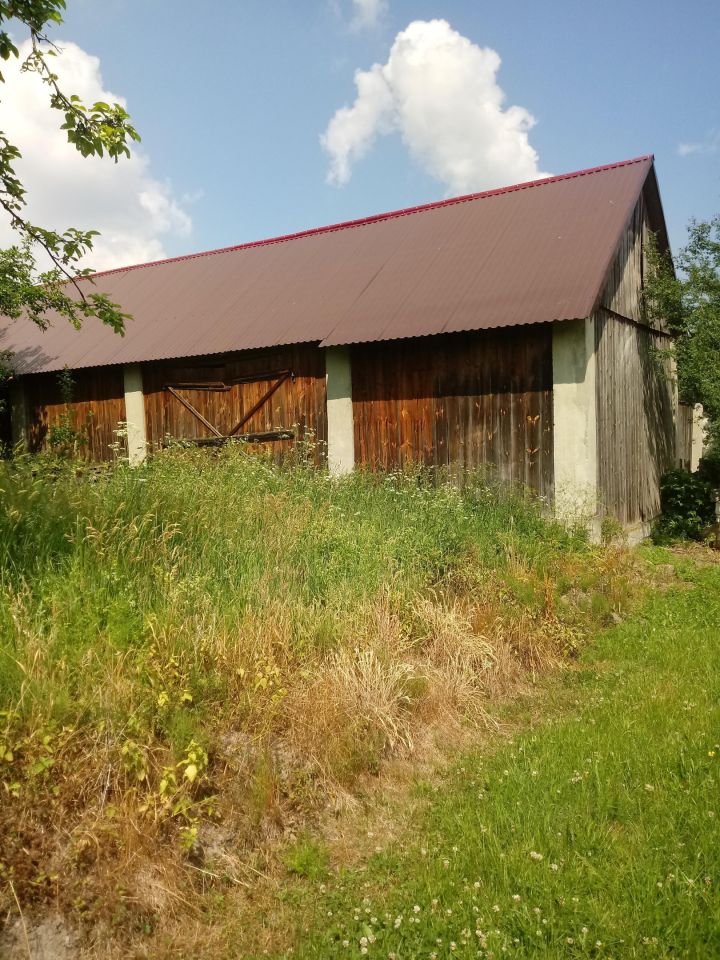 Działka rolno-budowlana Sochy Góra. Zdjęcie 12