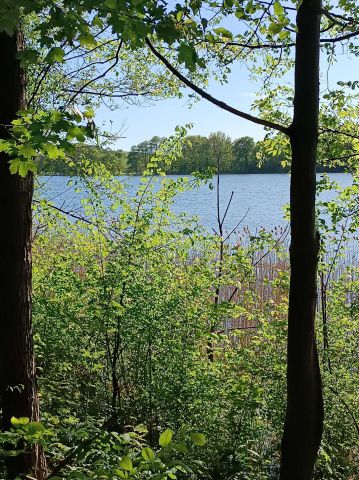 Działka rolna Roje. Zdjęcie 3