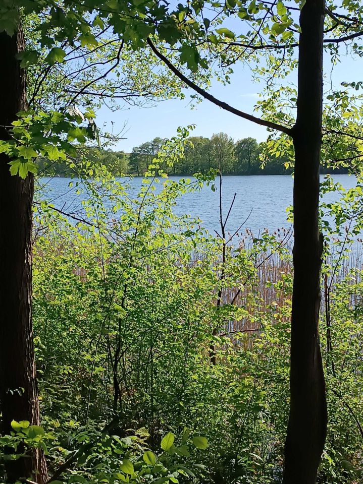 Działka rolna Roje. Zdjęcie 3