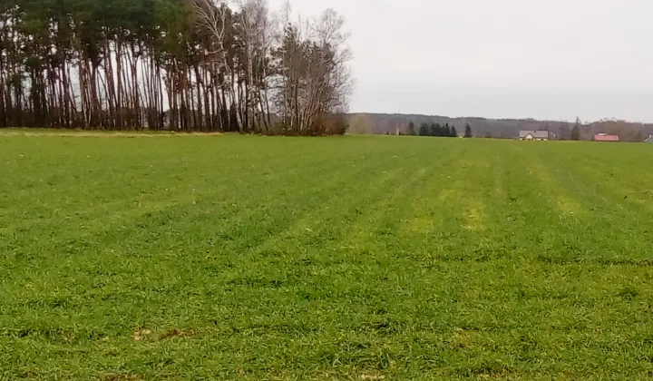 Działka rolno-budowlana Proboszczewice
