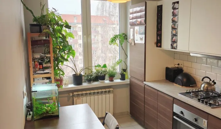 Mieszkanie 2-pokojowe Wrocław Stare Miasto, pl. Legionów