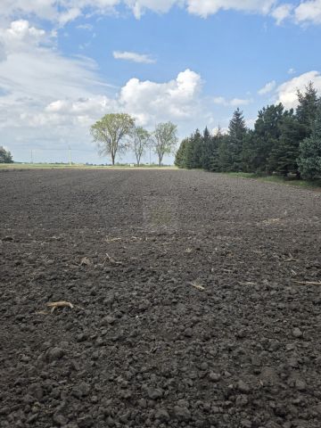 Działka rolna Nowa Sucha. Zdjęcie 4