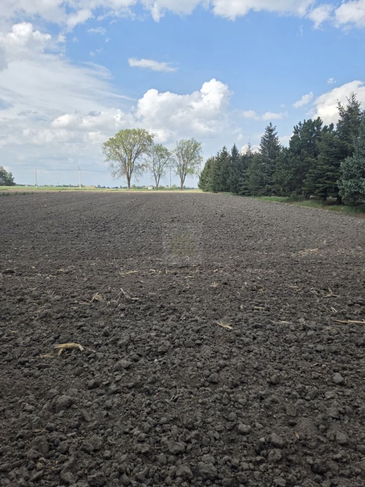 Działka rolna Nowa Sucha. Zdjęcie 4