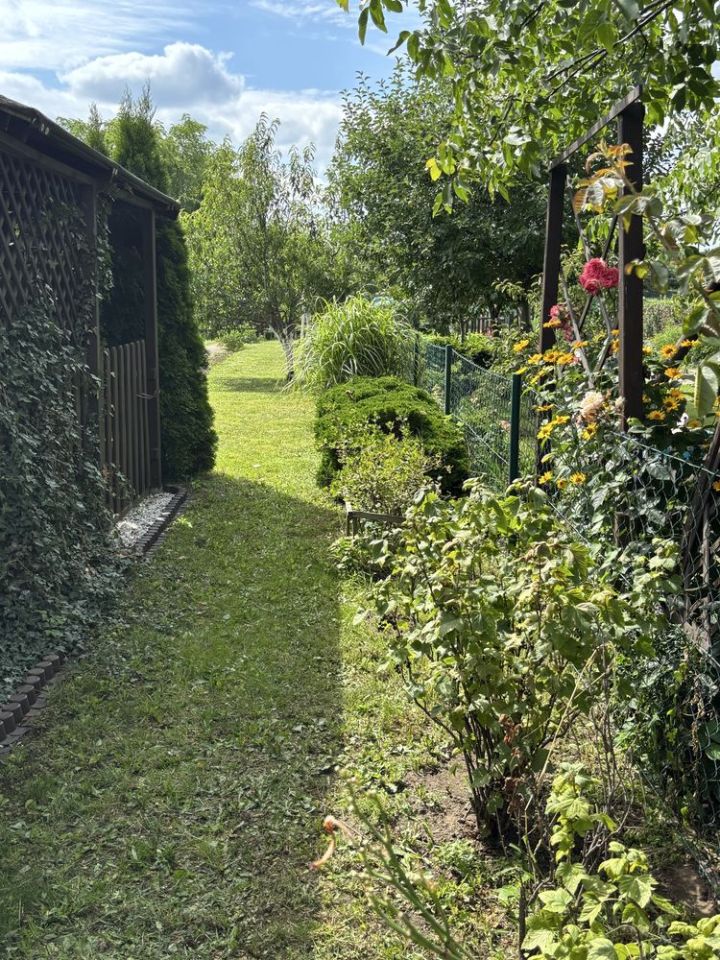 Działka rod Pruszcz Gdański. Zdjęcie 5
