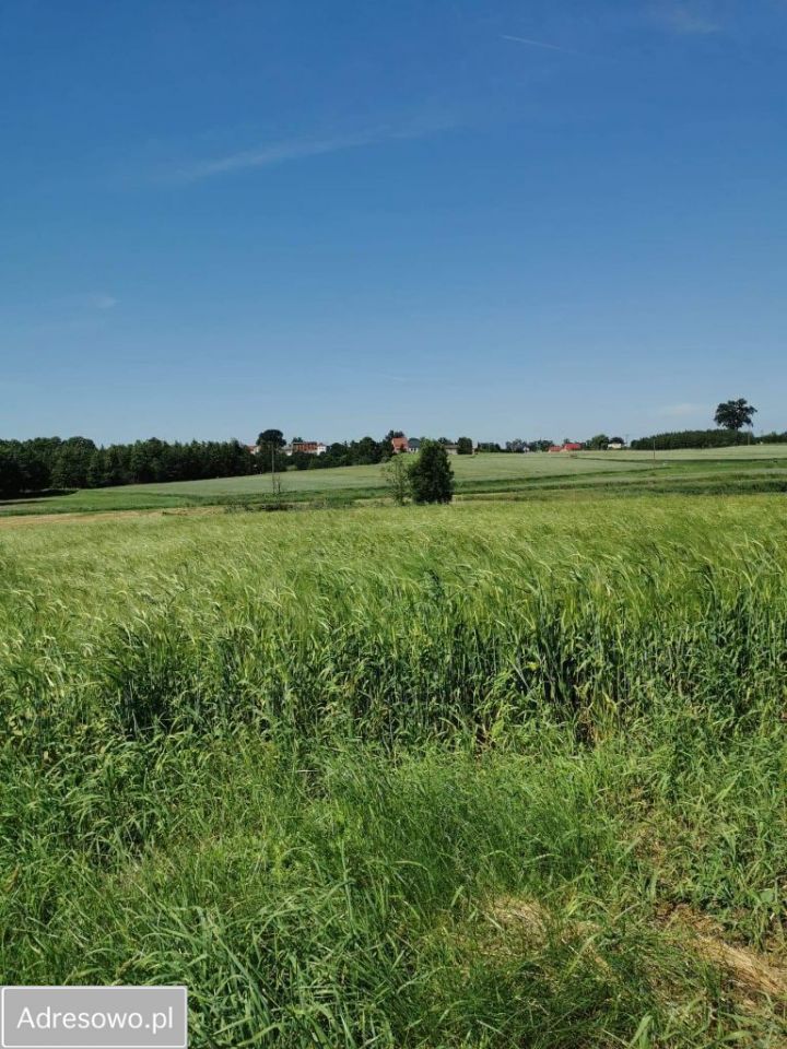 Działka budowlana Kisielice, ul. Parkowa. Zdjęcie 2