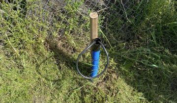 Działka rod Gdańsk Stogi