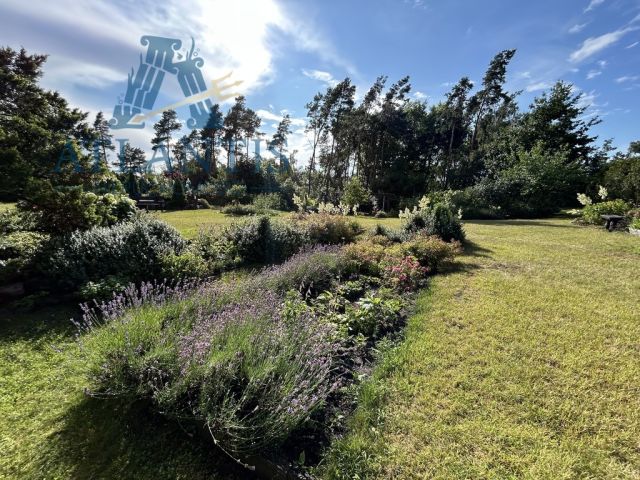 dom wolnostojący, 6 pokoi Raciąż. Zdjęcie 10