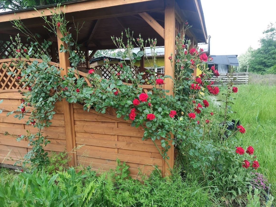 Działka rod Lipce. Zdjęcie 4