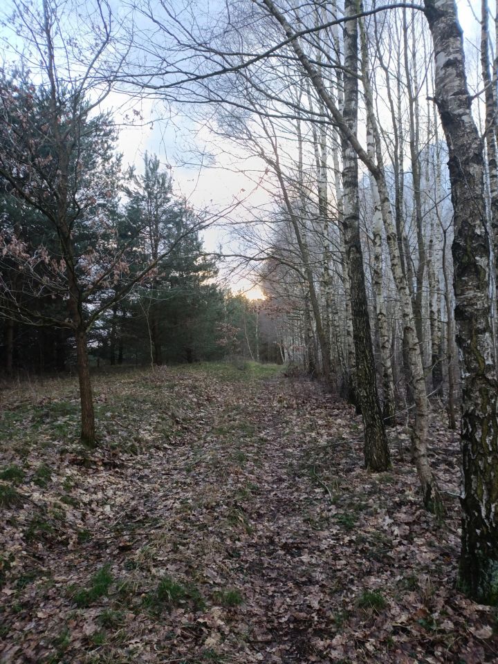 Działka budowlana Wylazłowo. Zdjęcie 16