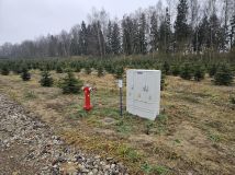 Działka budowlana Skierniewice Centrum, ul. Nowomiejska. Zdjęcie 4